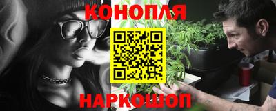 стаф Будённовск
