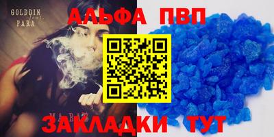 стаф Будённовск