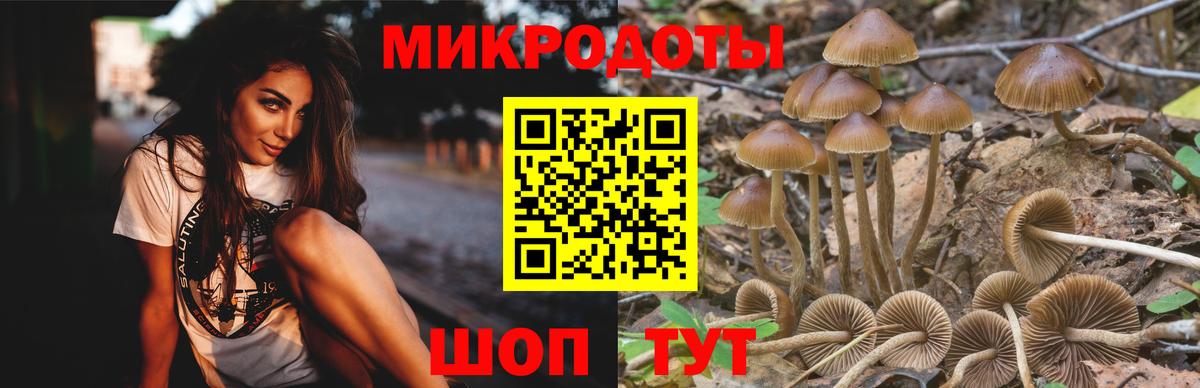 Галлюциногенные грибы GOLDEN TEACHER Тверь